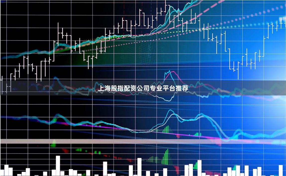 上海股指配资公司专业平台推荐